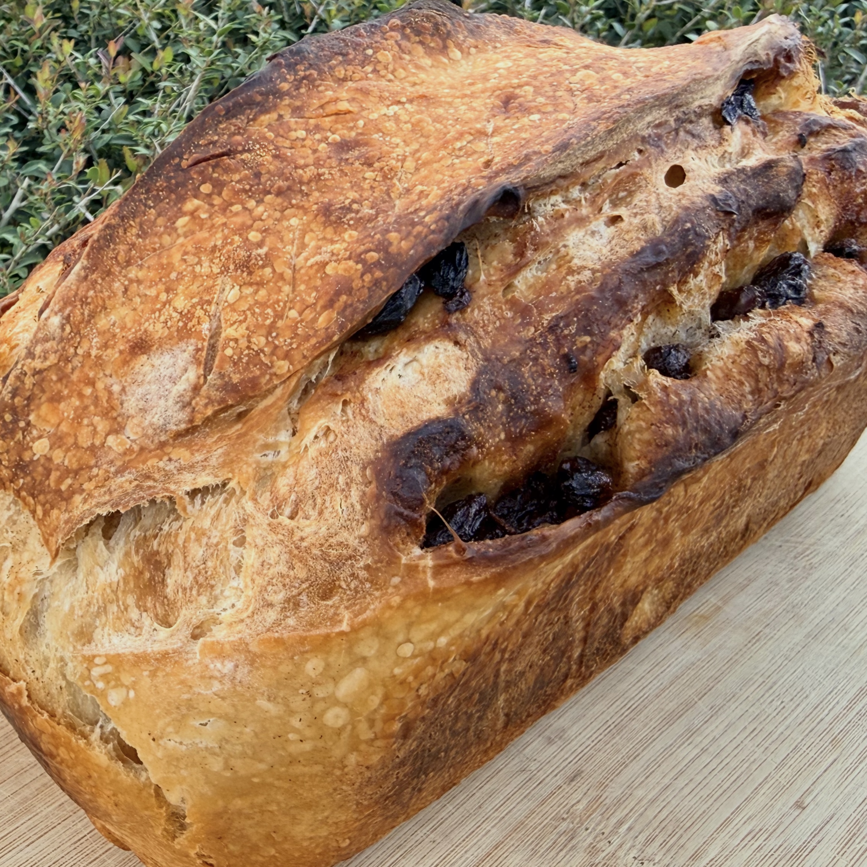 Cinnamon Raisin Sourdough Loaf